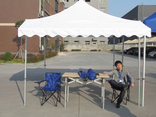 Camping Exhibitions Mobile Stalls Backyard Waterproof Canopy 10 X 10 Easy Up Tents